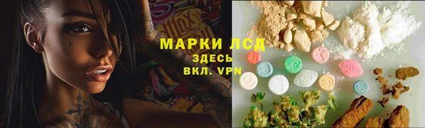СК Карпинск