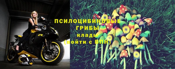 СК Карпинск