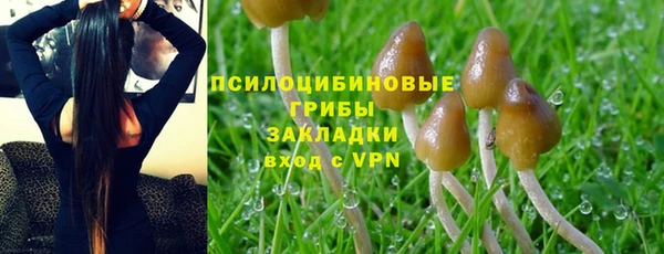 СК Карпинск
