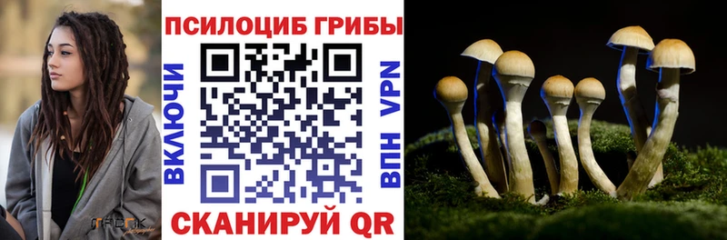 ссылка на мегу   Сельцо  Псилоцибиновые грибы Magic Shrooms 